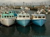 Boats, Meteghan harbour, Nova Scotia