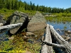 Dead logs, Costello Creek, Algonquin Park, Ontario