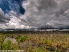 Wetlands and gathering storm clouds (2)