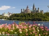 Flowers with Parliament Hill in the background