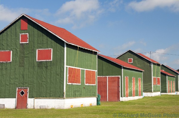 Tobacco barns, near Delhi, Ontario