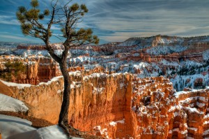 A late winter afternoon, Bryce Canyon National Park, Utah
